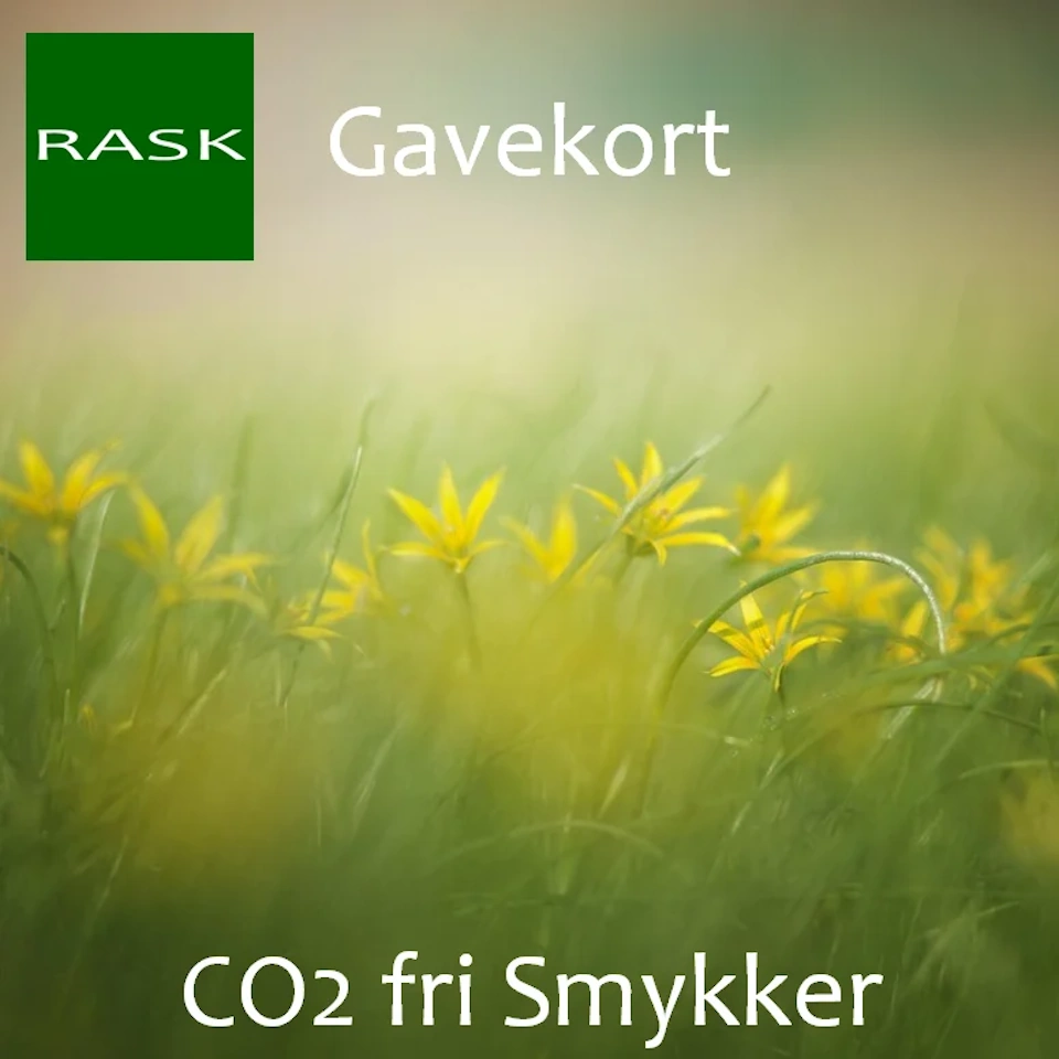 Gavekort