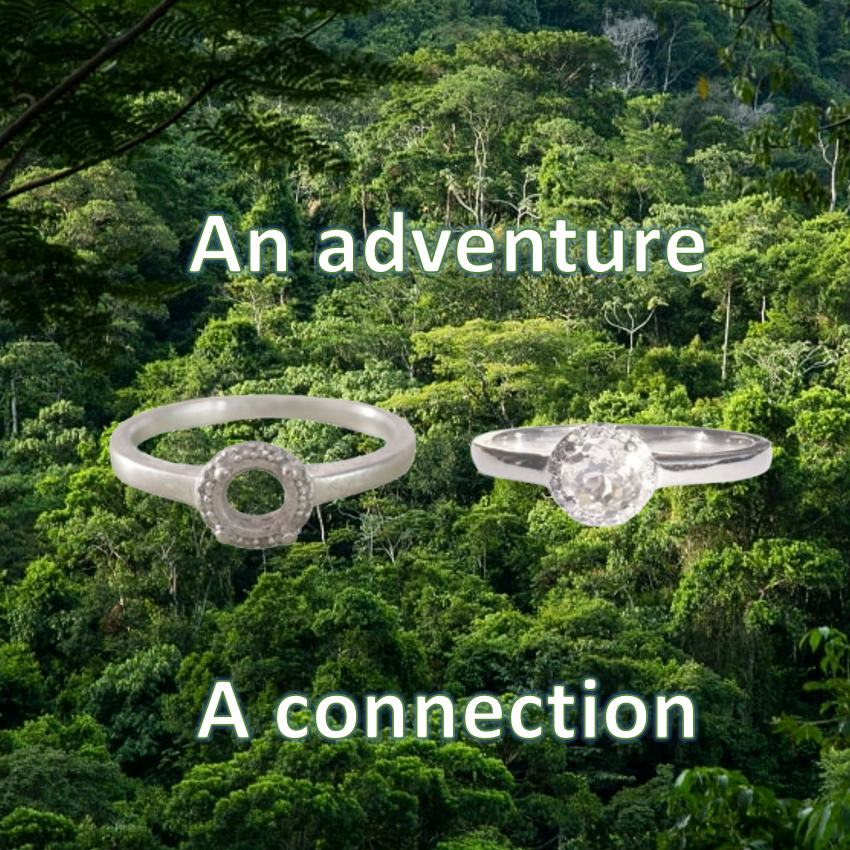 Et eventyr og en forbindelse imellem smykker og regnskove