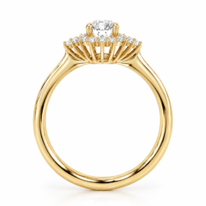 R-122650-0.33-di-Super-smuk-forlovelsesring-0.45ct.-i-guld-med-0.33ct.-LG-brillant-centersten-18-stk.-smaa-LG-Diamanter-F6 Ai forbedret