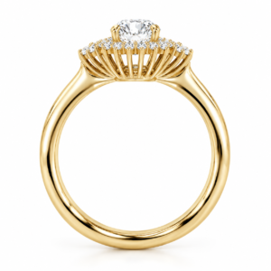 R-122650-0.53-di-Super-smuk-forlovelsesring-0.66ct.-i-guld-med-0.53ct.-LG-brillant-centersten-18-stk.-smaa-LG-Diamanter-F2 Ai forbedret